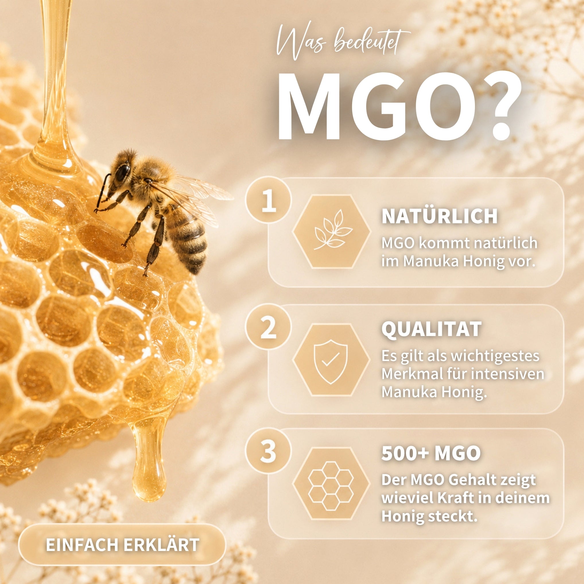Manuka Honig 140g mit MGO 500+