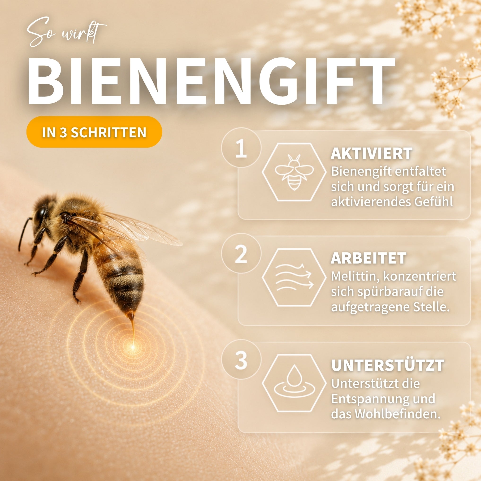 Bienengift Relax Set: Bee Cream + Api Relax Roll On für kühlende Entspannung