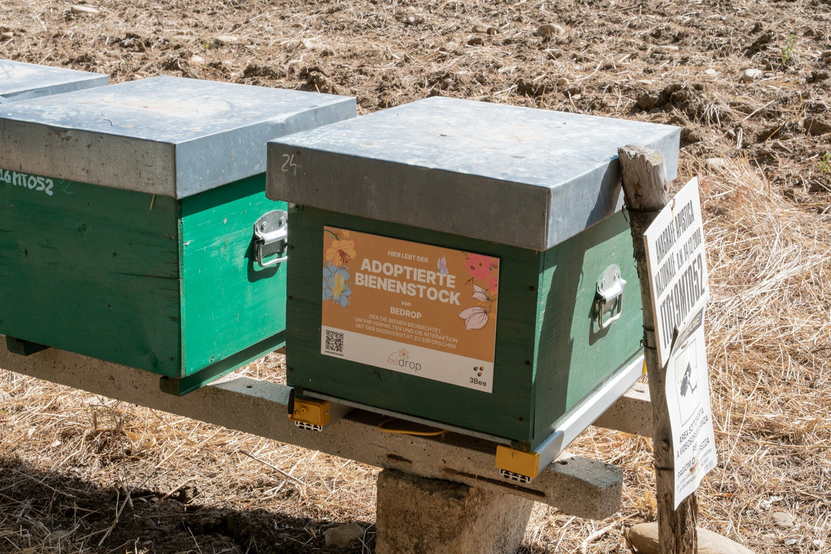 Unser Team ist um 240.000 Mitarbeiter gewachsen: Zu Besuch bei Giuseppe in Süditalien
